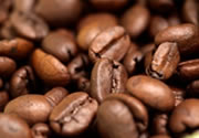 Coffee Bean